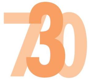 modello 730 immagine